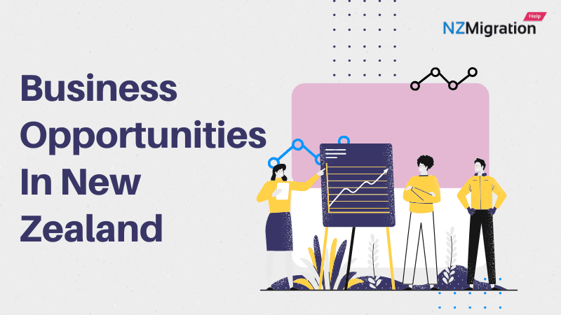 Business Opportunities In New Zealand