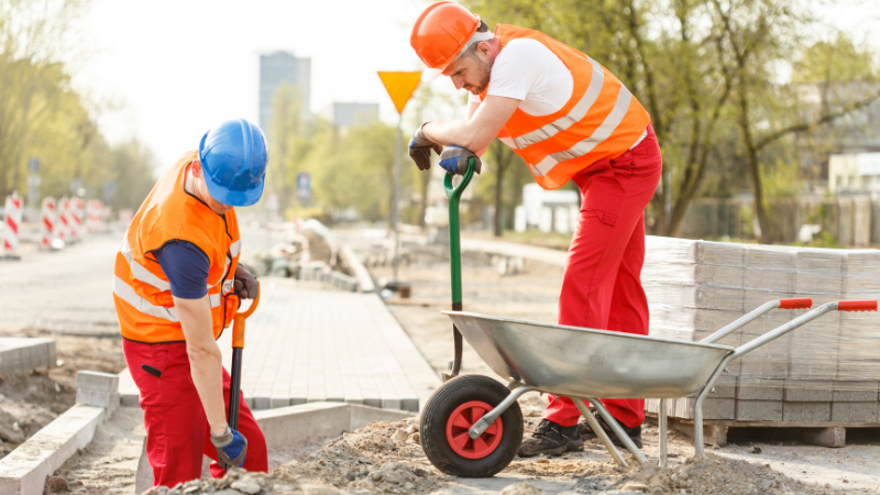 New Zealand Need To Increase Immigration To Address Labour Shortages