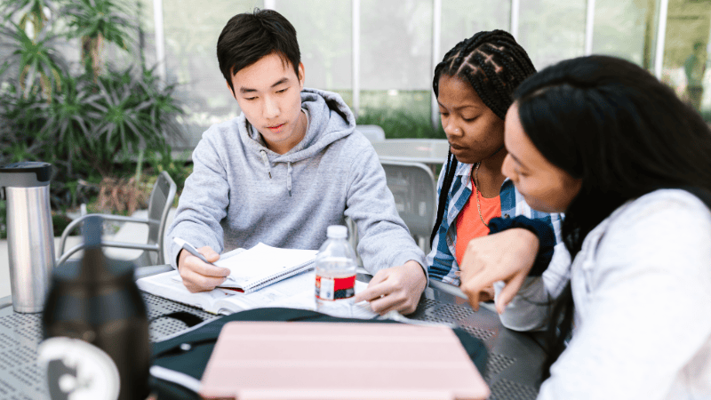 MBBS in New Zealand for Indian Students