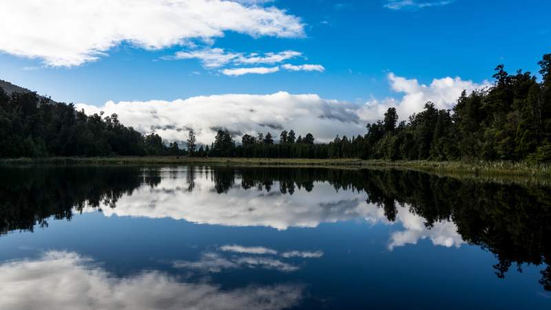 Exploring New Zealand as an Ideal Migration Venue for Asians