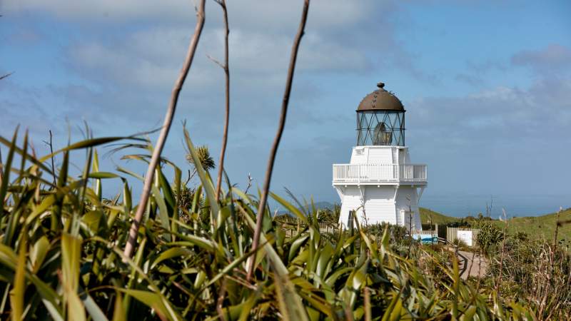 What Makes Manukau a Hot Favorite for Migrants: Unique Perspectives